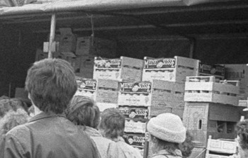Zur vollständigen Abbildung auf das Bild klicken Foto: Blick auf die Ladefläche eines Lastkraftwagens mit Orangenkisten und Bananenkartons