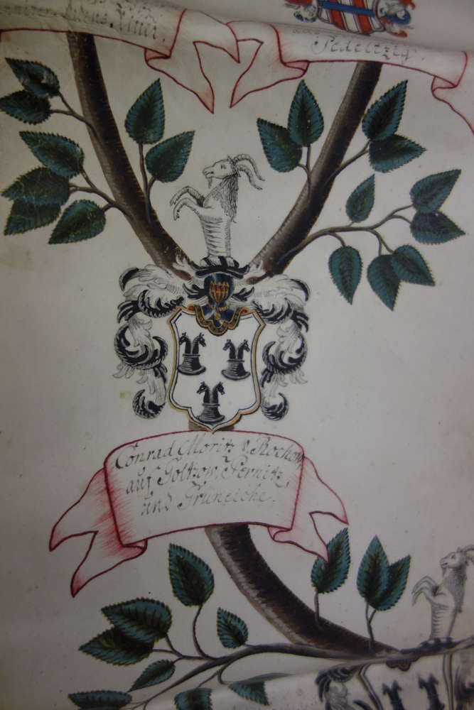 Abbildung U 8c, Nr. 143: Ahnentafel Friedrich Eberhards von Rochow, 1752 (Detail). Klicken zum Vergrößern.