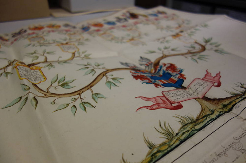 U 8c, Nr. 138: Ahnentafel Jacob Ernsts von der Reck, 1751. Klicken zum Vergrößern. U 8c, Nr. 138: Ahnentafel Jacob Ernsts von der Reck, 1751. Klicken zum Vergrößern.