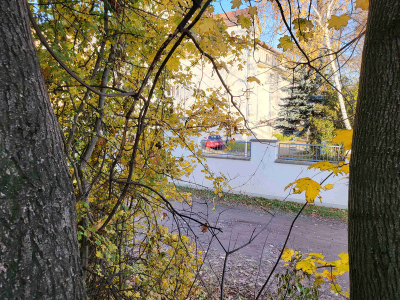 Blick aus dem Gebüsch heraus auf das Archivgebäude des Standorts Merseburg
