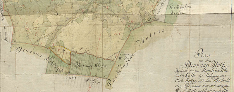 In B 18, I Nr. 2050 überlieferter Plan vom Brunauer Holz (Ausschnitt). Klicken zum Vergrößern.
